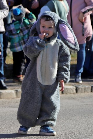 Narrentreiben 2025 (Fotos Rochus Hetzendorfer)